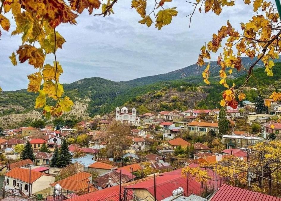 Capuralli Hotel Pedhoulas Bagian luar foto